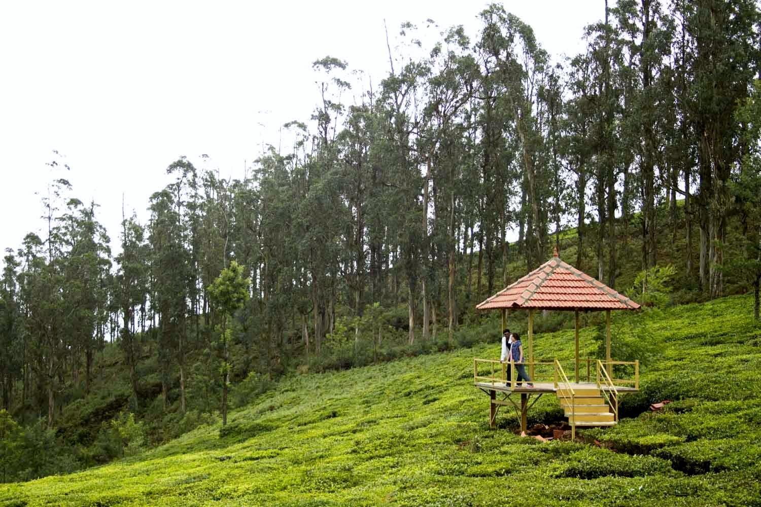 Green Nest Resort Ooty Kotagiri Extérieur photo