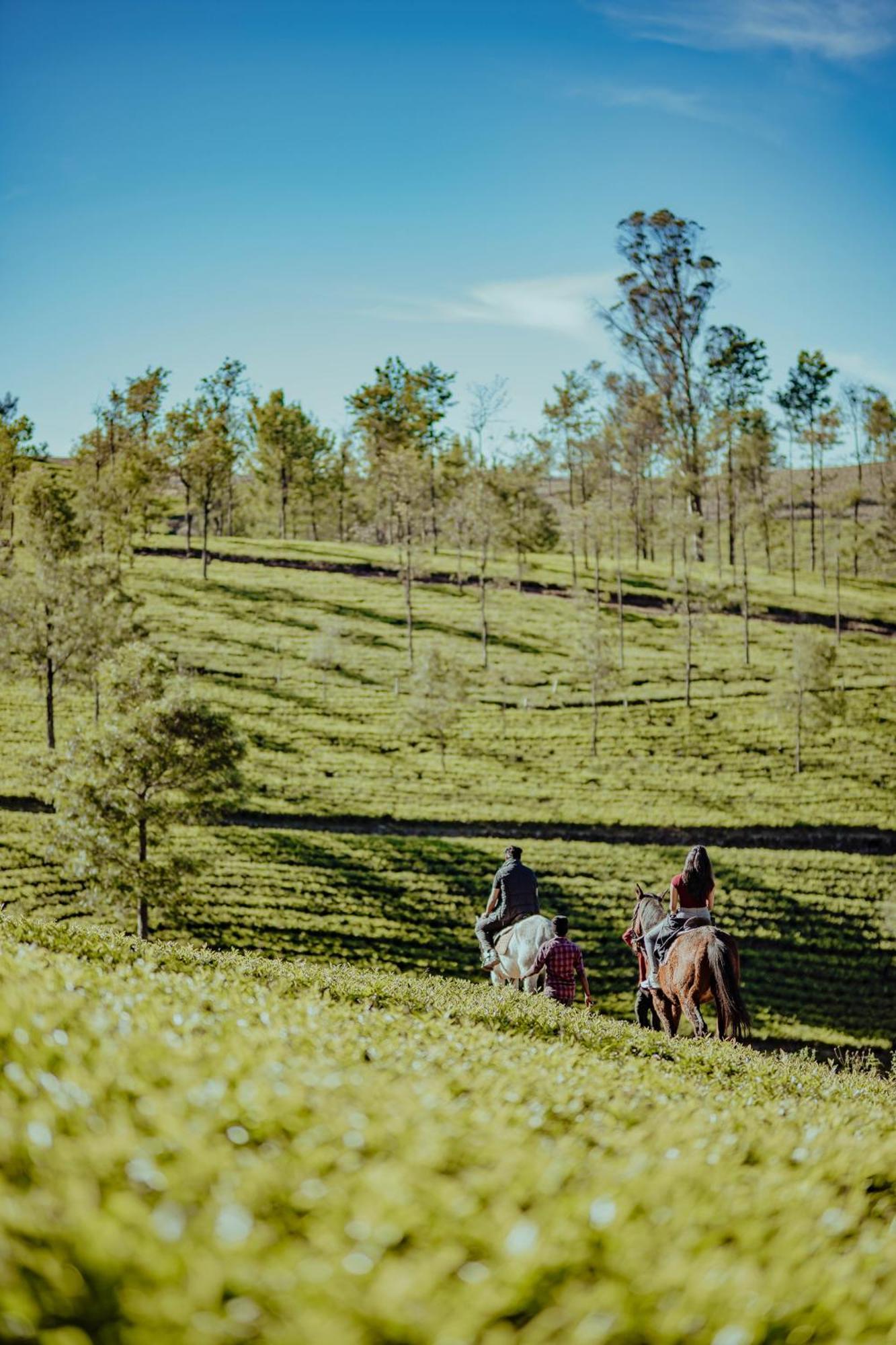 Green Nest Resort Ooty Kotagiri Extérieur photo