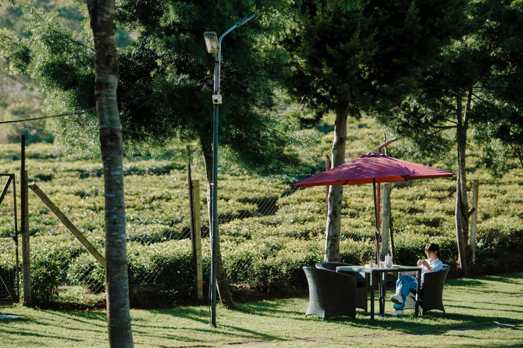 Green Nest Resort Ooty Kotagiri Extérieur photo
