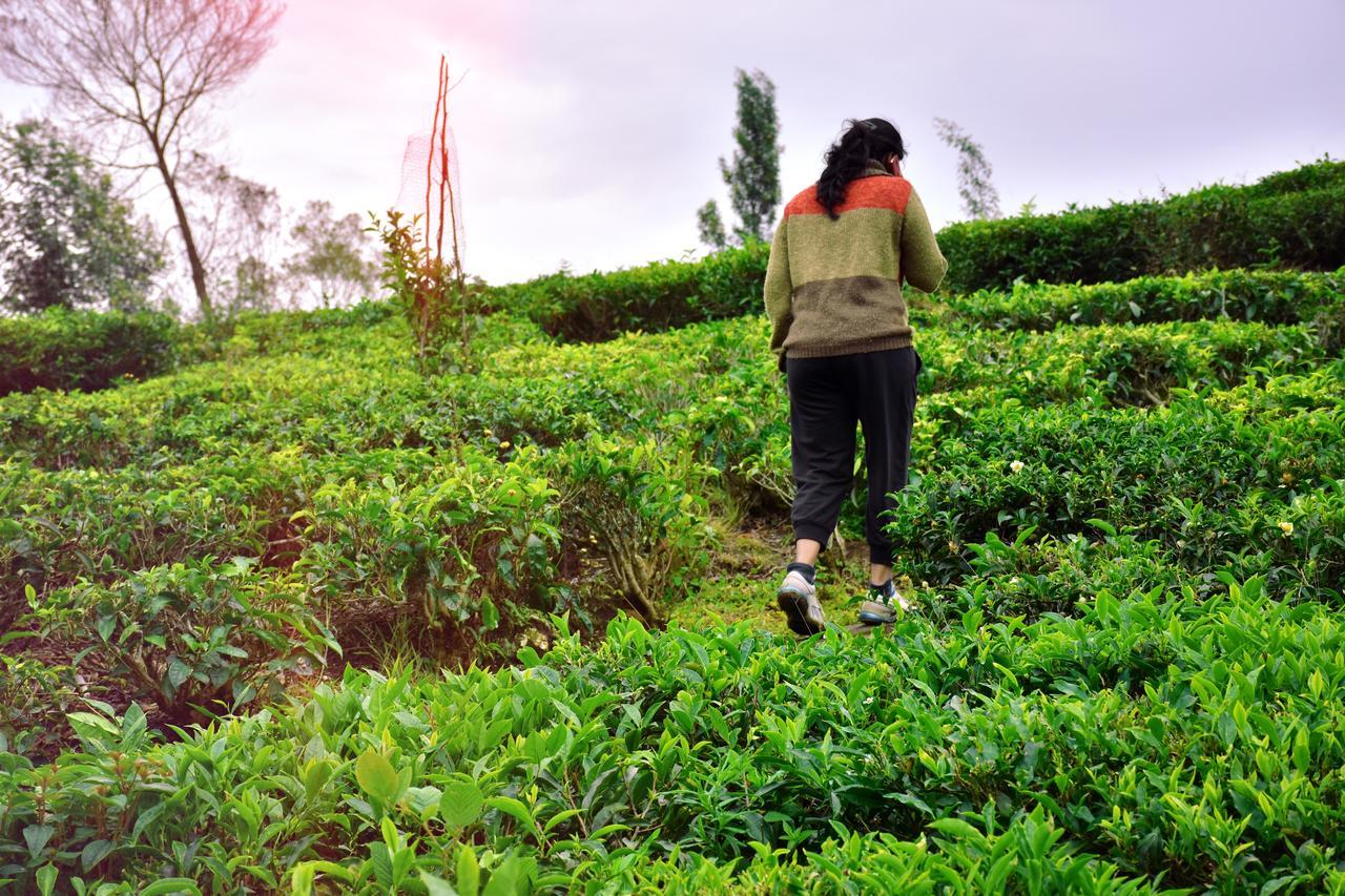 Green Nest Resort Ooty Kotagiri Extérieur photo
